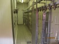 Poultry slaughterhouse for sale with EU license, close to Budapest